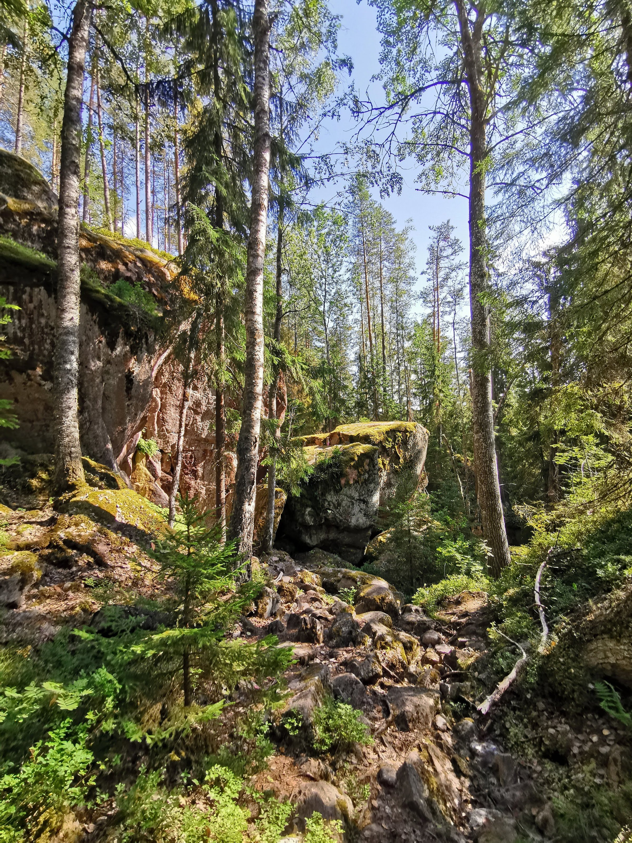 Repovesi National Park — Tervajärvi parking (Tervajärvi pysäköintialue)